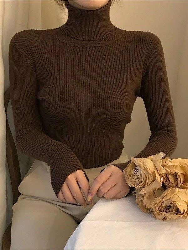Brown Women's turtleneck